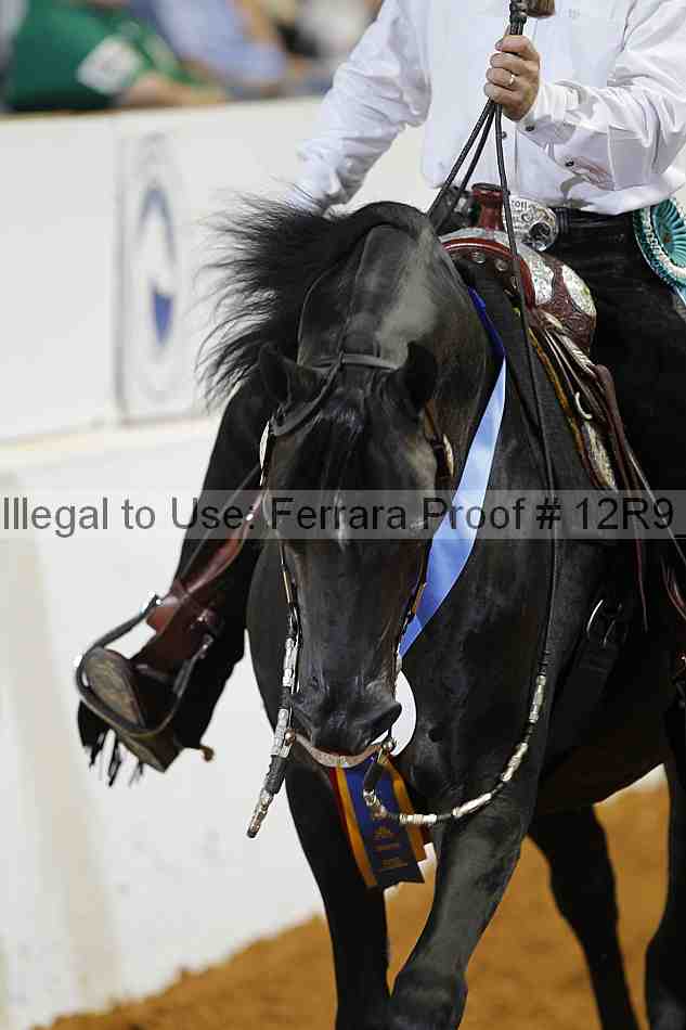 Proof Number 12r9_8642