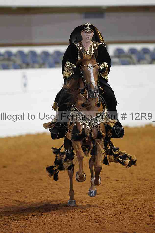 Proof Number 12r9_8667