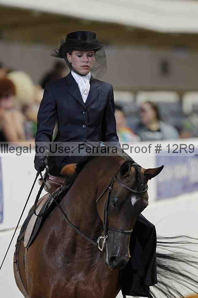 Proof Number 12r9_8759