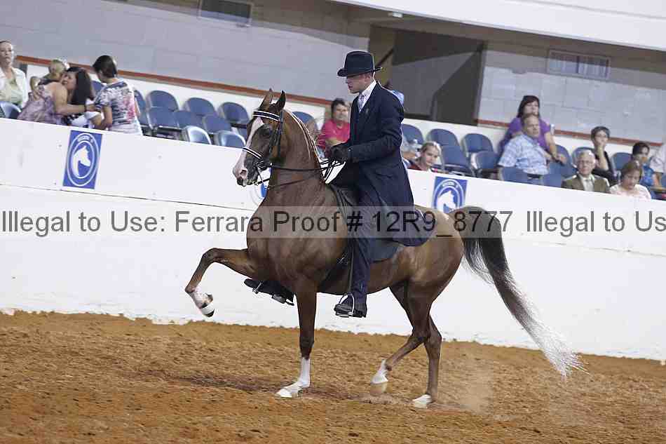 Proof Number 12r9_8777