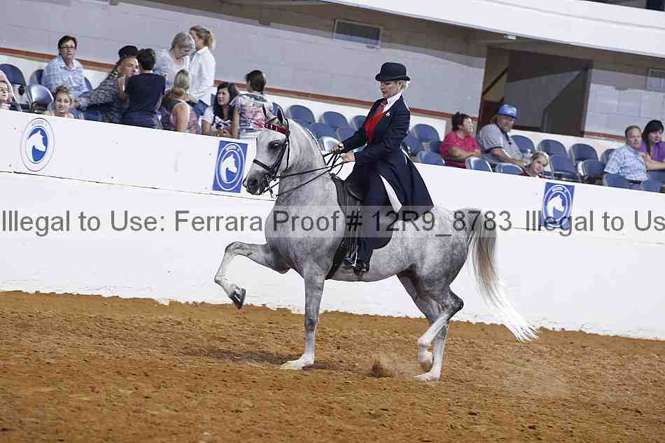 Proof Number 12r9_8783