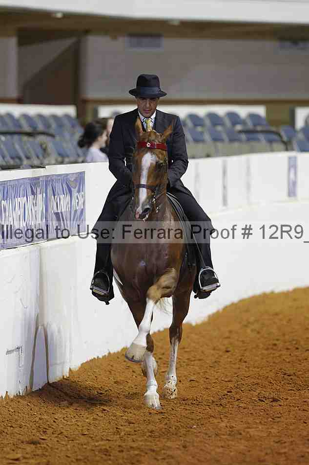 Proof Number 12r9_8798