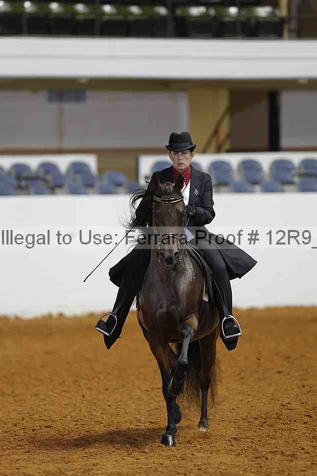 Proof Number 12r9_8805
