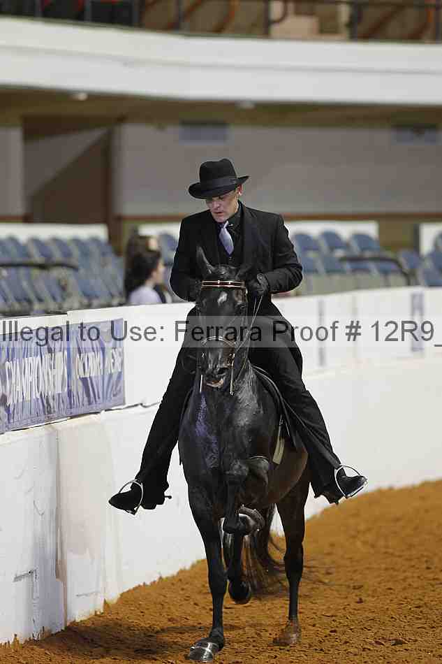 Proof Number 12r9_8808
