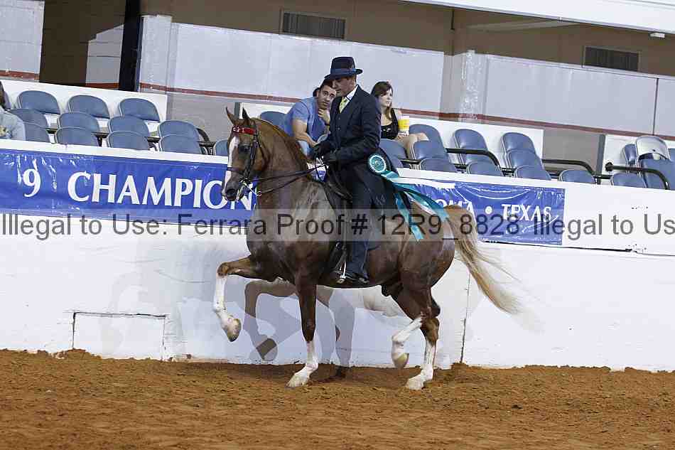Proof Number 12r9_8828