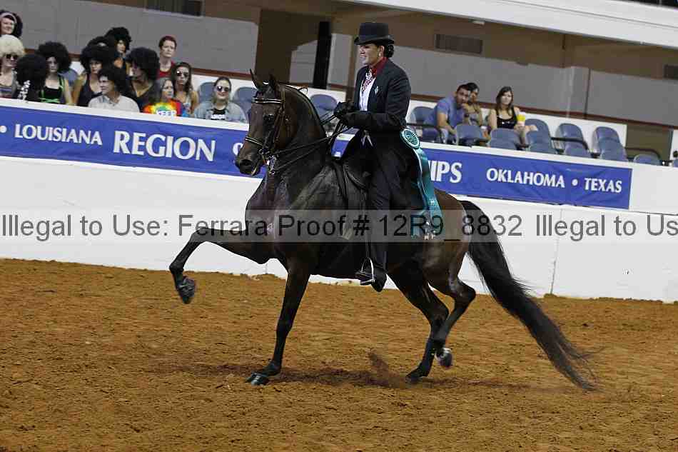 Proof Number 12r9_8832