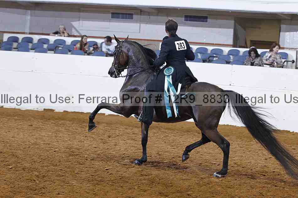 Proof Number 12r9_8833