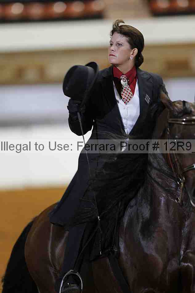 Proof Number 12r9_8839