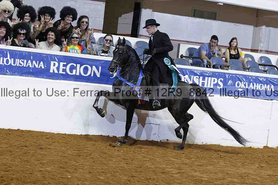 Proof Number 12r9_8842