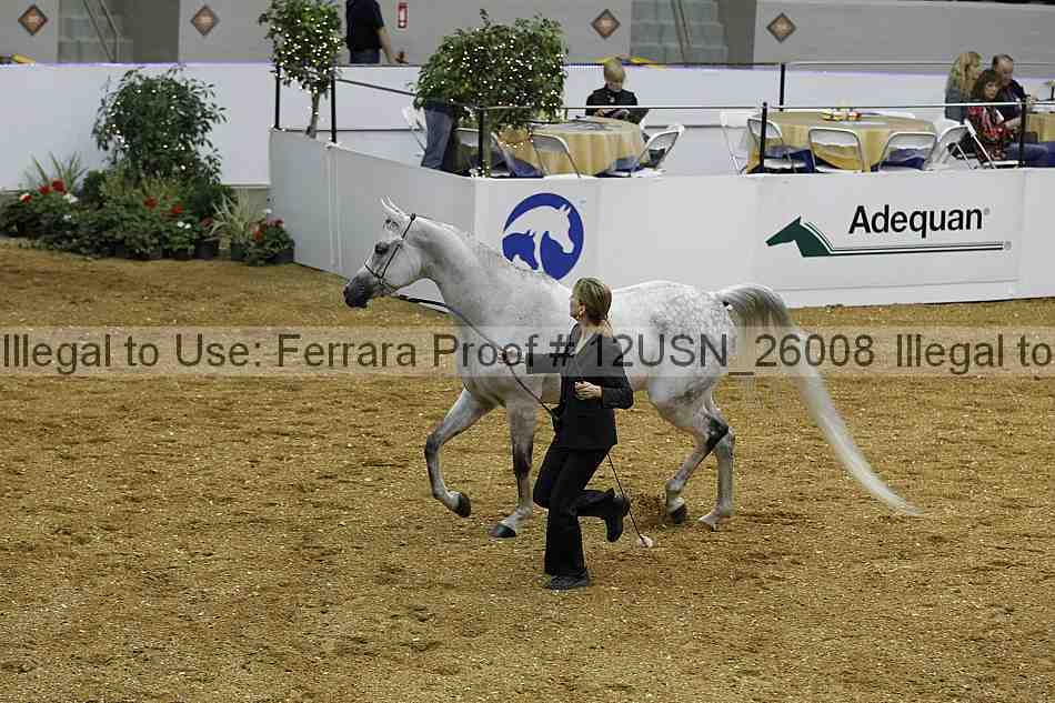 Proof Number 12usn_26008