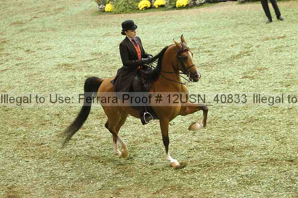 Proof Number 12usn_40833