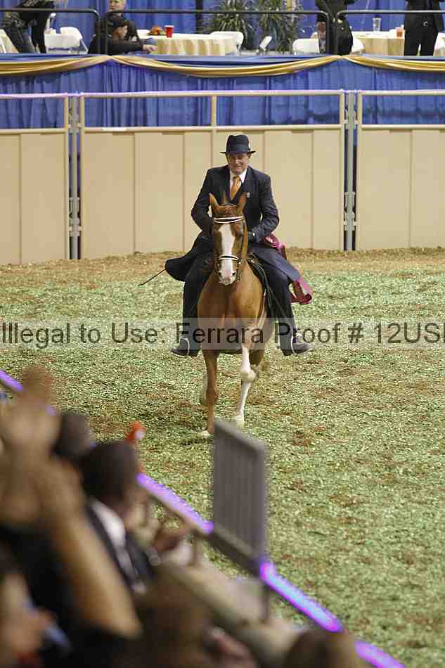 Proof Number 12usn_40981