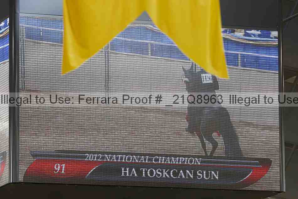 Proof Number _21q8963