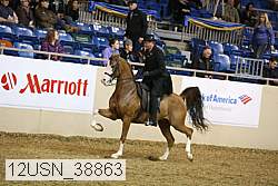 12usn_38863 thumbnail