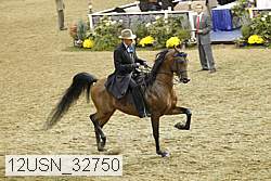 12usn_32750 thumbnail