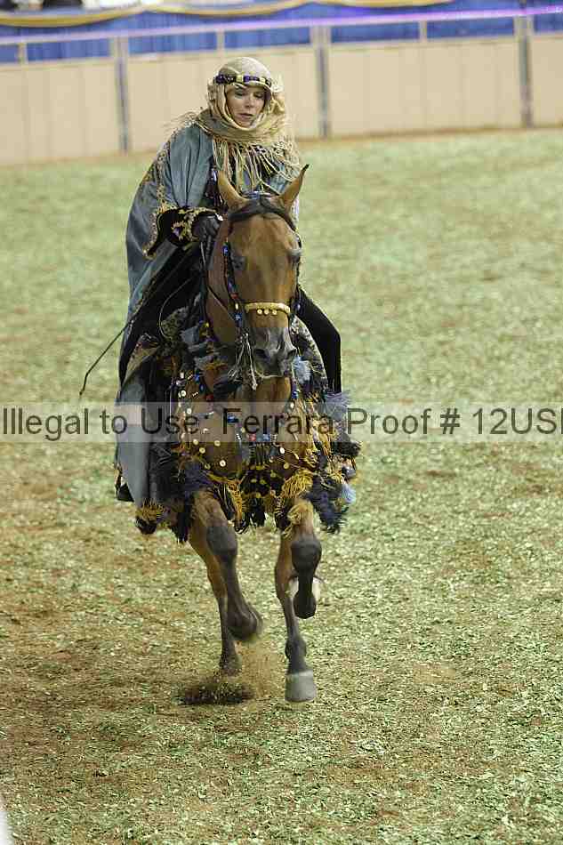 Proof Number 12usn_40057