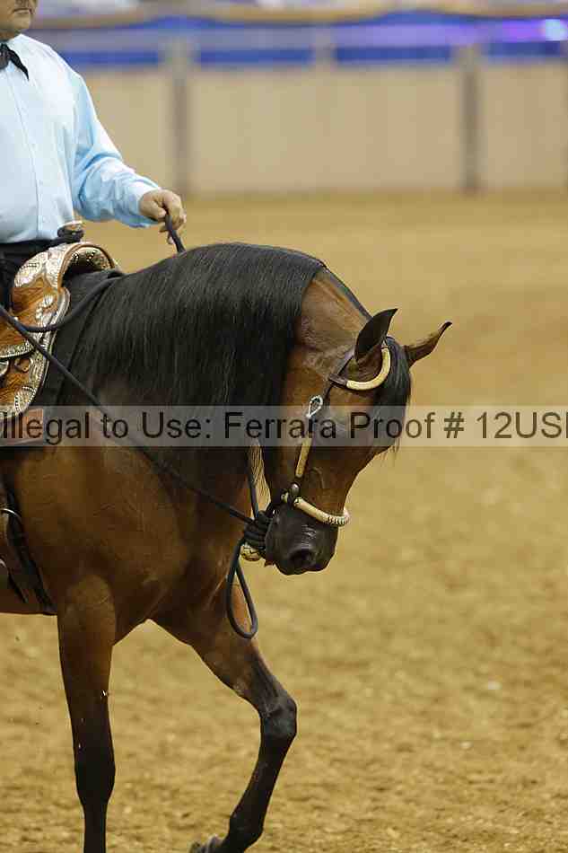Proof Number 12usn_22741