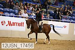 12usn_17456 thumbnail