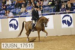 12usn_17515 thumbnail