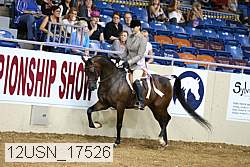 12usn_17526 thumbnail