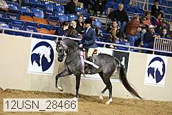 12usn_28466 thumbnail