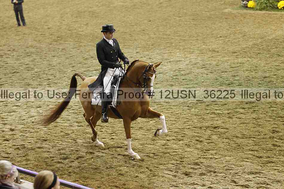 Proof Number 12usn_36225