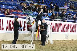 12usn_36297 thumbnail