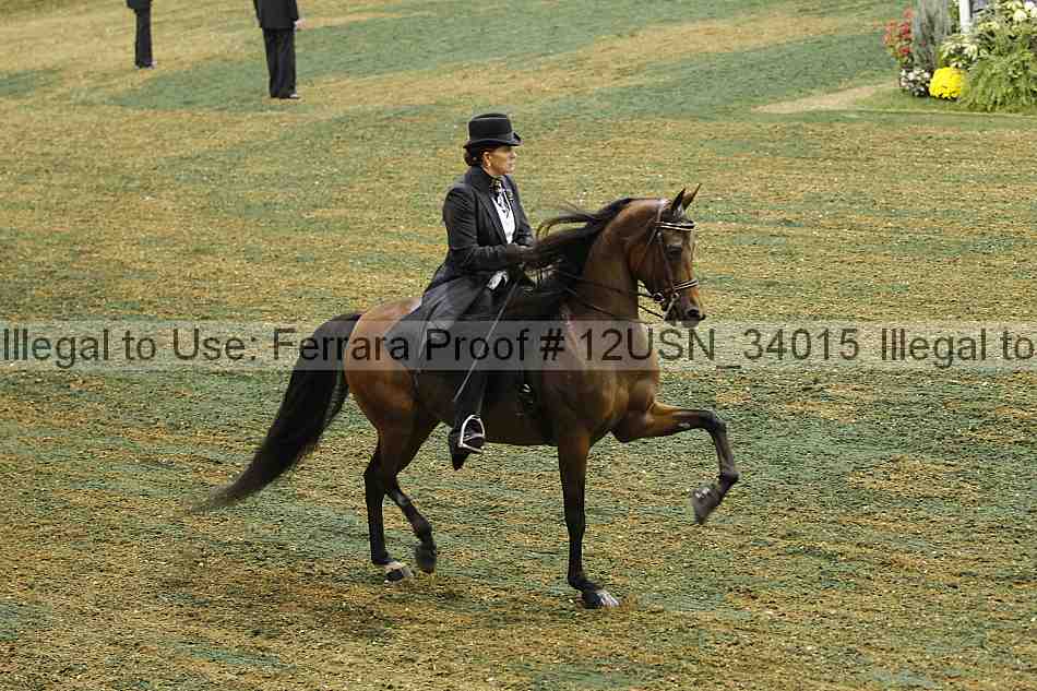 Proof Number 12usn_34015