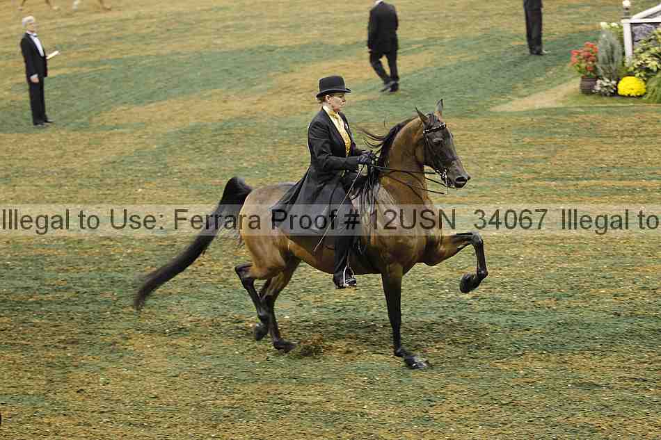 Proof Number 12usn_34067