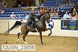 12usn_23656 thumbnail