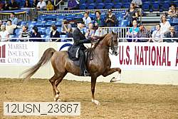 12usn_23667 thumbnail