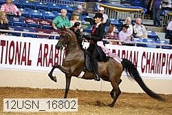 12usn_16802 thumbnail
