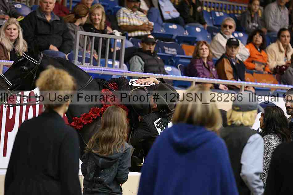 Proof Number 12usn_28286
