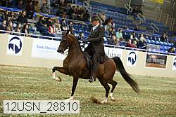 12usn_28810 thumbnail