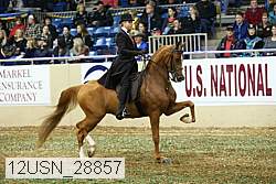 12usn_28857 thumbnail