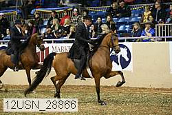 12usn_28866 thumbnail