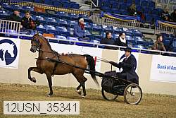 12usn_35341 thumbnail
