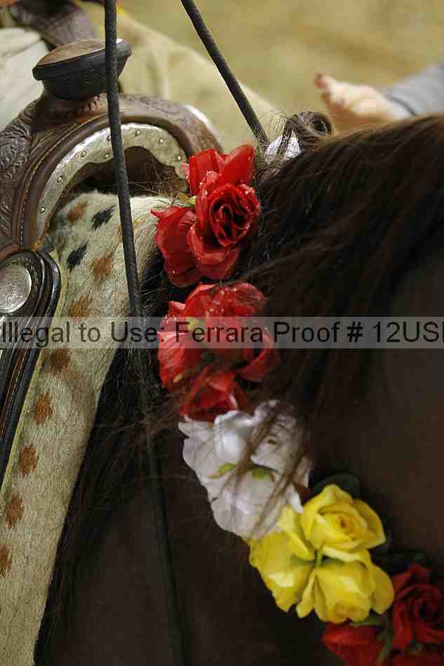 Proof Number 12usn_29113