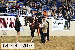 12usn_27988 thumbnail