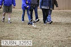 12usn_32552 thumbnail