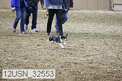 12usn_32553 thumbnail