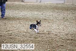 12usn_32554 thumbnail