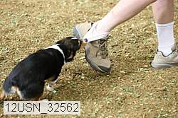 12usn_32562 thumbnail