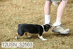 12usn_32563 thumbnail