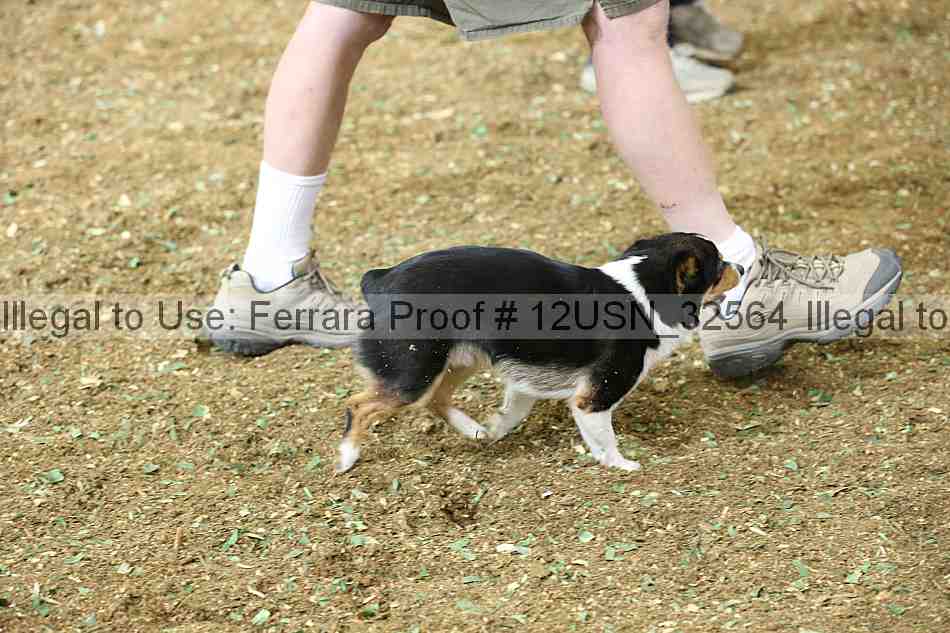 Proof Number 12usn_32564