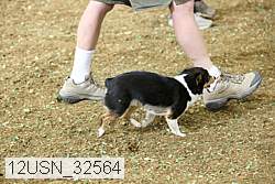 12usn_32564 thumbnail