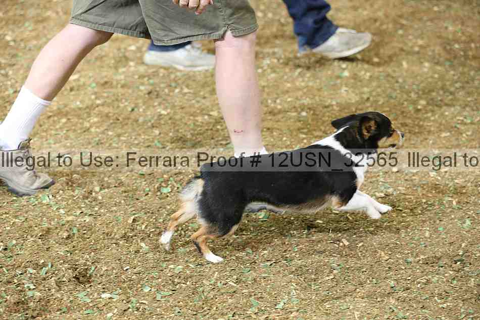Proof Number 12usn_32565