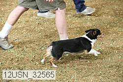 12usn_32565 thumbnail