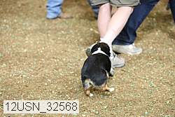 12usn_32568 thumbnail