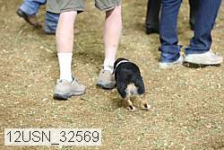 12usn_32569 thumbnail